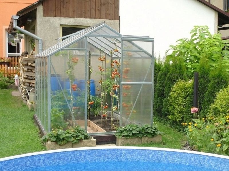 Polykarbonátový skleník Limes Viva v zahradě u bazénu